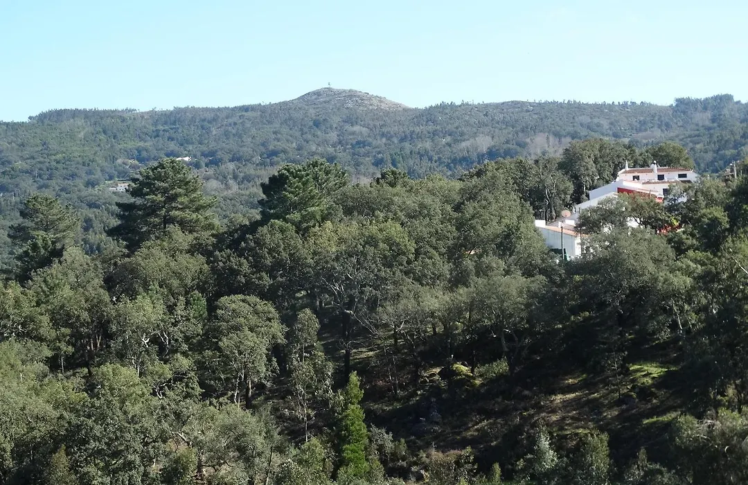 Hospedaria Descansa Pernas-1
