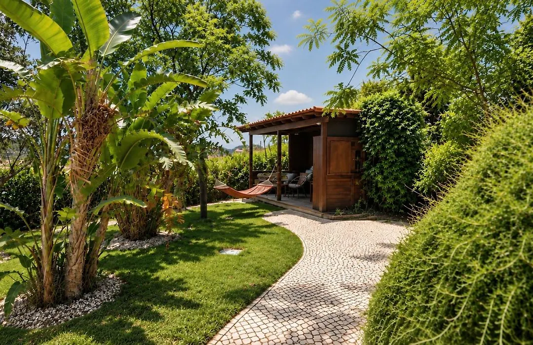Gato Preto De Silves - Adults Only-1