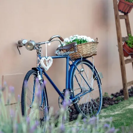 Alamos Retreat - Wellness & Yoga Boutique Hotel-2