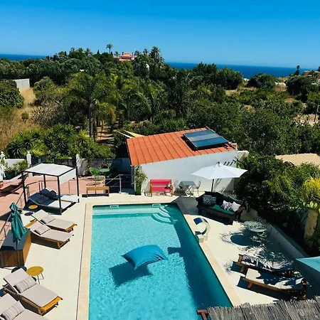 Palm View Guesthouse, Adults Only-3
