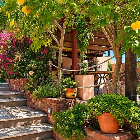 Gato Preto De Silves - Adults Only-2
