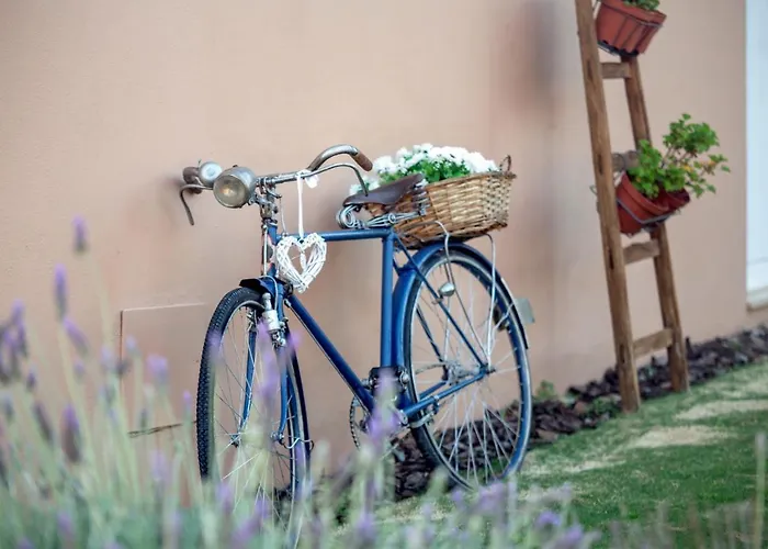 Alamos Retreat - Wellness&Yoga Boutique Hotel Albufeira