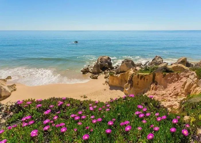 Sea View Paradise