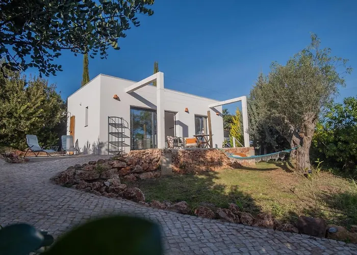 Gato Preto De Silves - Adults Only