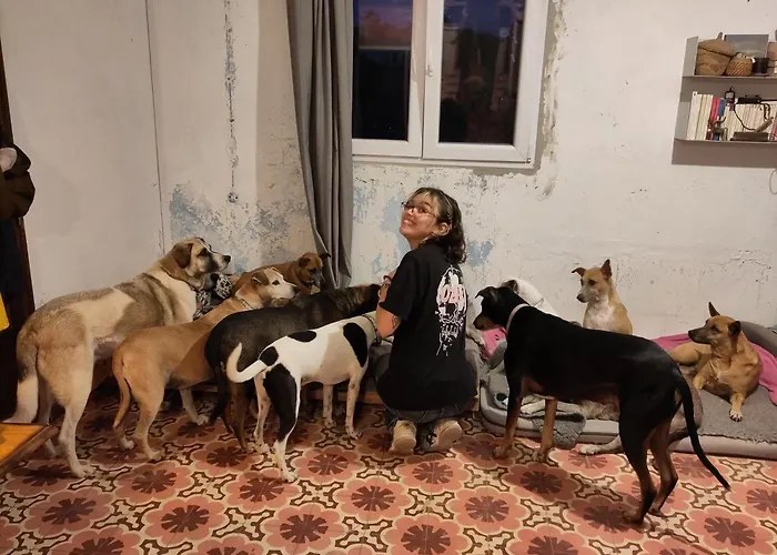 Cosy Nest In Animal Rescue Monte Dos Vagabundos
