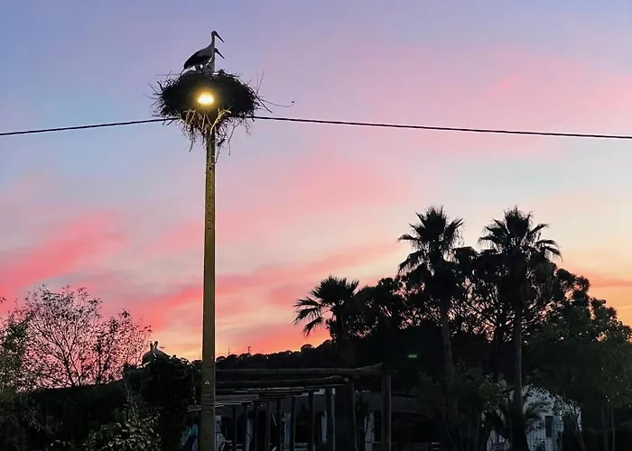 Casa Mimosa - Algarve