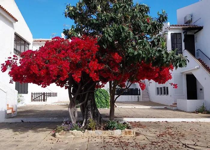Studio Pedras D'El Rei