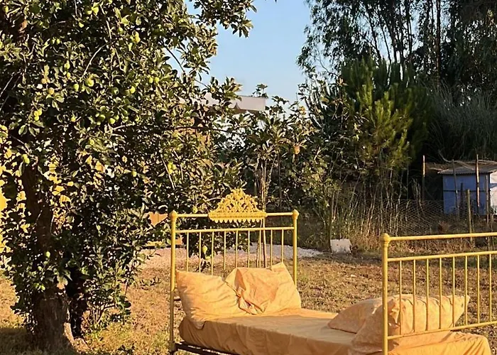 Quintal Alentejano