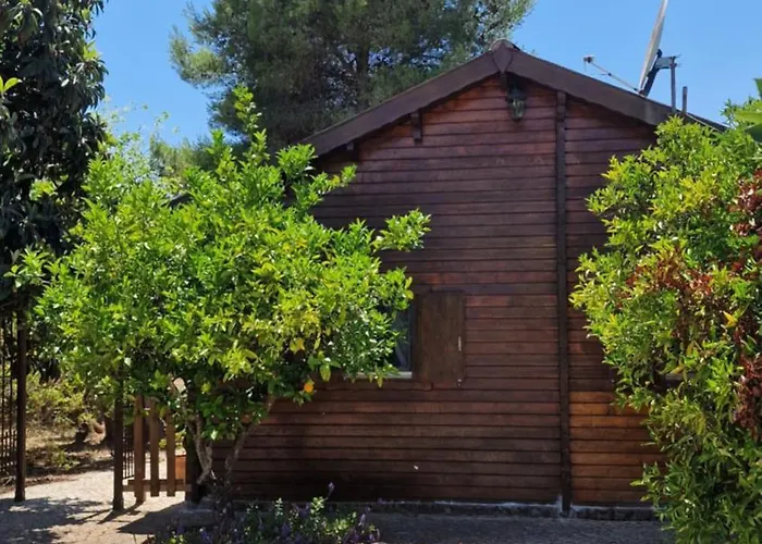 Chalet Villa Mosquito