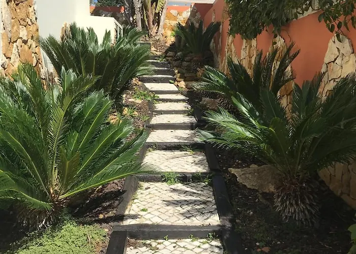 Casa Mos