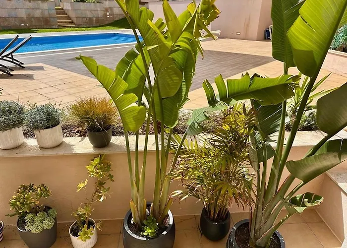 Casa Solaris Algarve