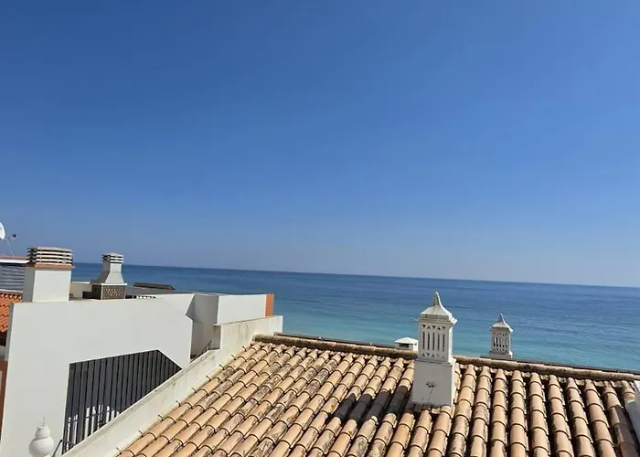 Casa Repolho