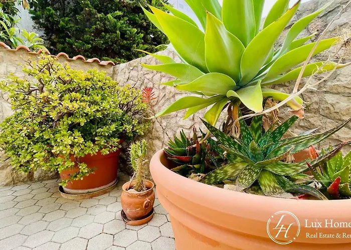 Casa Brava - Friendly - Big Terrace - 200M Beach