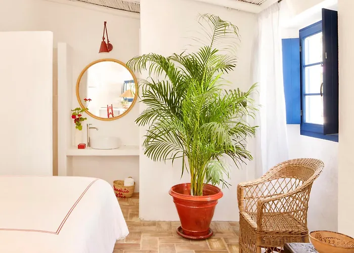 Benedita De Nexe - Algarve - A Charming Countryside Retreat