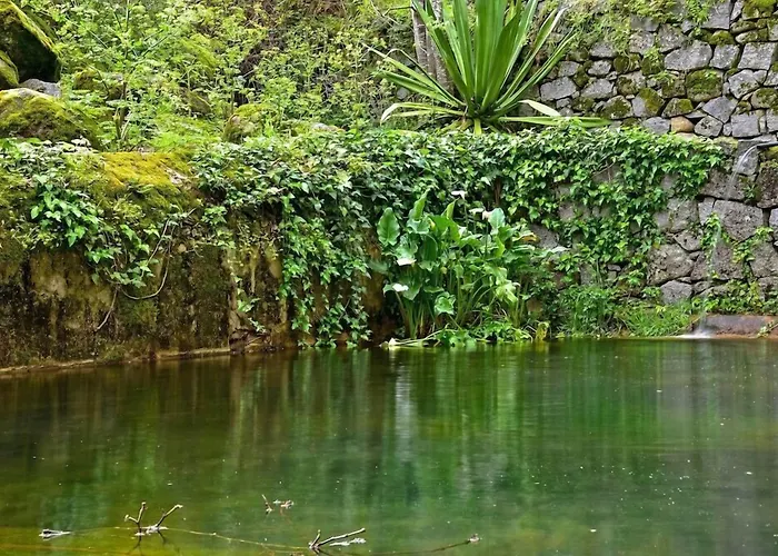 Pure Monchique Hotel - Villa Termal Spa Resort