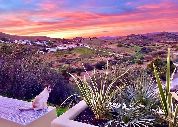Casa Paz Tavira