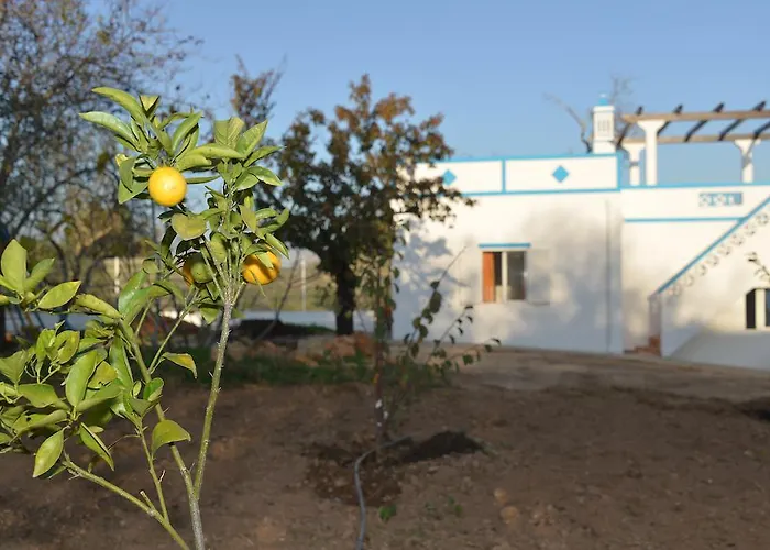 Quinta Da Fonte Em Moncarapacho