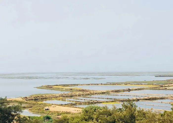 Mar Alto,In Marina Village