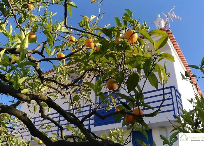Casa D'Avó (R/C)